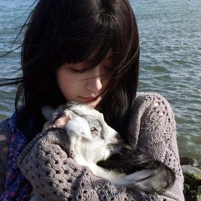 皇家赌场在线观看海报