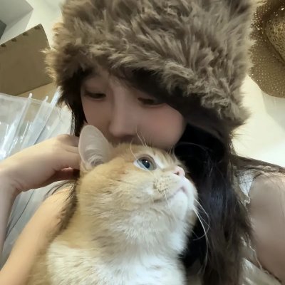 熊猫计划在线观看海报